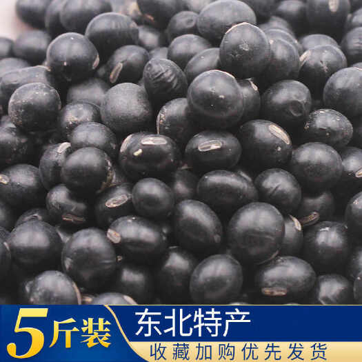 哈尔滨东北绿芯黑豆散装纯黑豆发芽豆杂粮农家自产