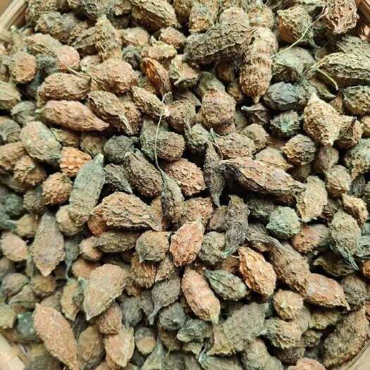 漳州野苦瓜山苦瓜小苦瓜迷你苦瓜干
