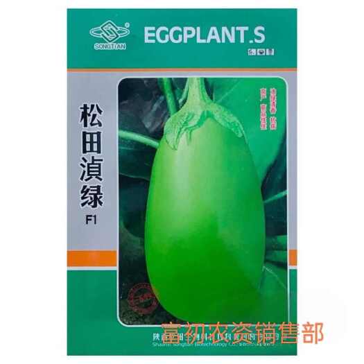 松田浈绿茄子种子油绿长圆茄种籽早熟大果茄子抗病强春秋基地