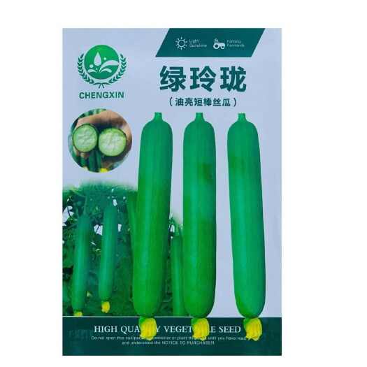 南京绿玲珑丝瓜种子油绿油亮短棒型肉丝瓜种籽 早熟抗病