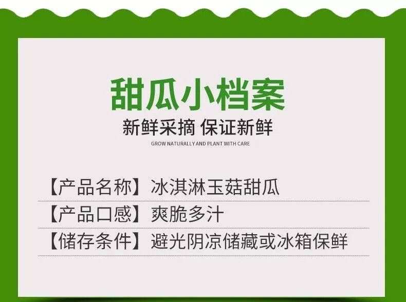 海南玉菇甜瓜当季新鲜水果香瓜脆甜冰淇淋蜜瓜批发