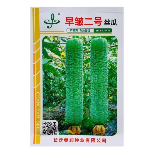 南京皱皮丝瓜种子长沙农科院早皱二号丝瓜种子耐热性强产量高褶皱明显