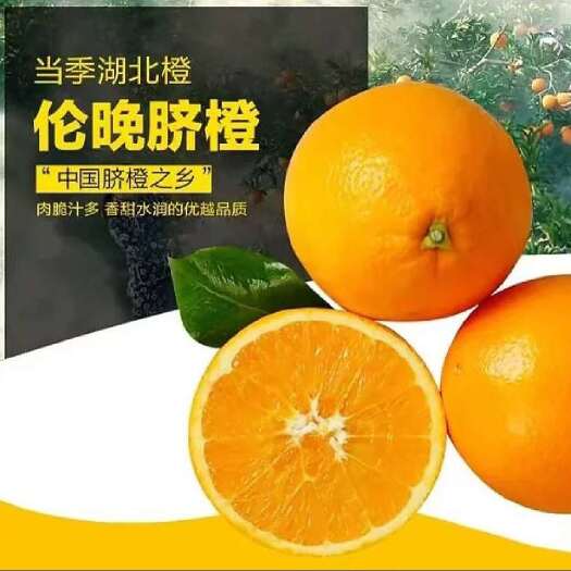 秭归县秭归伦晚脐橙/，颜色火红纯甜无渣，口感细腻汁水充足