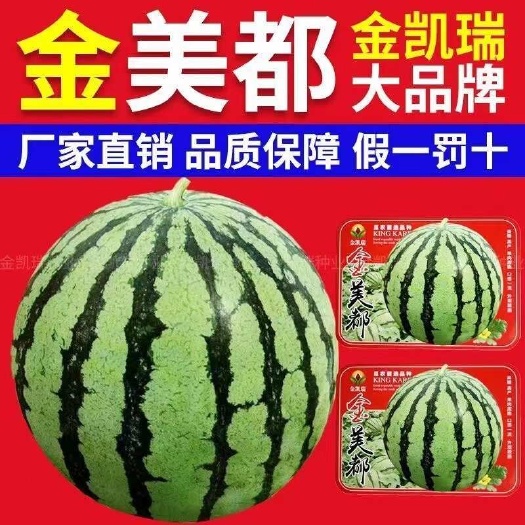 宿迁金凯瑞金美都西瓜种子中早熟抗病性好不裂瓜美都西瓜种子