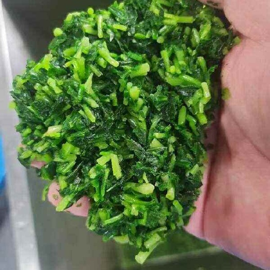 基地直供，量大从优，健康野菜马兰头