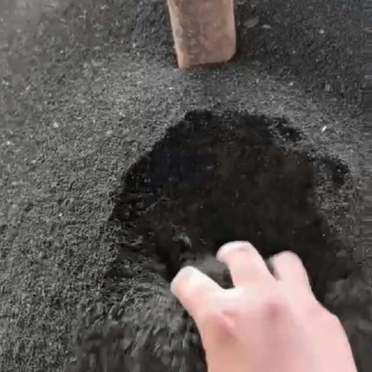 西安种植土批发