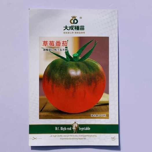 南京草莓番茄种子含糖量高带绿尖沙瓤口感水果西红柿耐寒大果