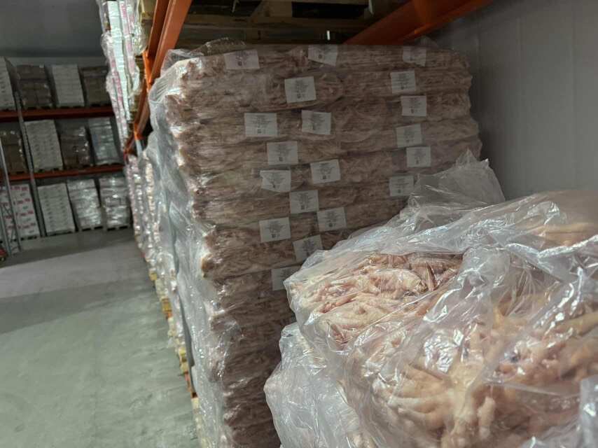白俄凤爪一首资源！