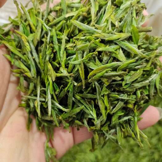 淄博绿茶
