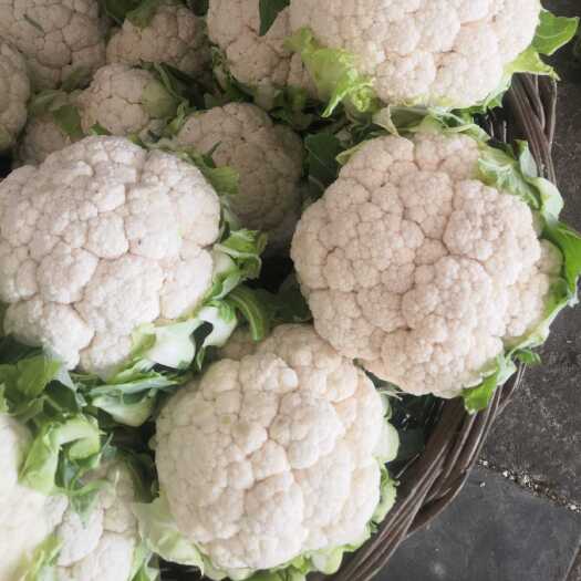 城固县白花菜 菜花1-3斤紧花，质量好价格便宜。