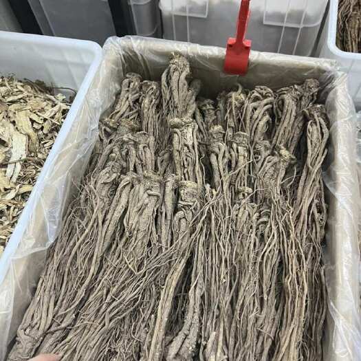 成都中条当归 无硫