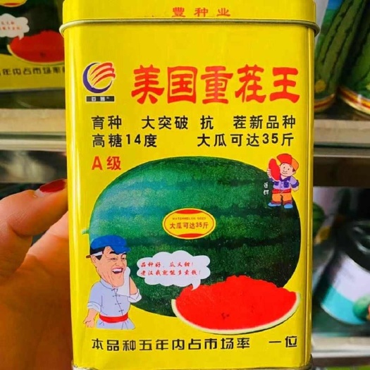 宿迁美国重茬王西瓜种子早中熟西瓜种子 重茬懒汉瓜王早熟西瓜种子