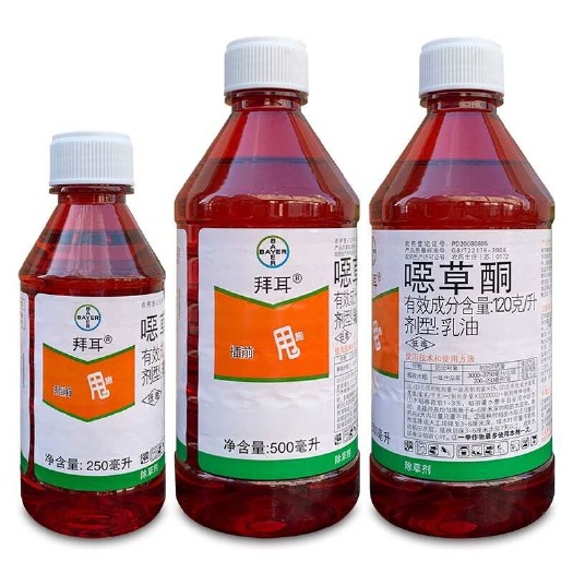 拜耳农思它 噁草酮 水稻移栽田一年生杂草选择性封闭农药除草剂