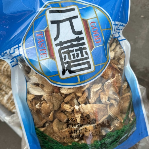 元蘑