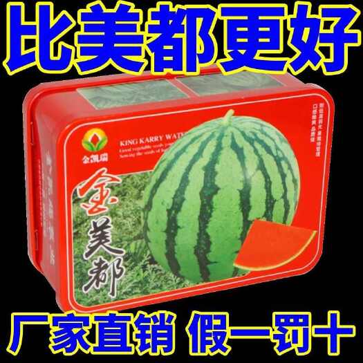 沭阳县金美都罐装西瓜种子正品薄皮超甜大果早熟美都西瓜农科院阳台