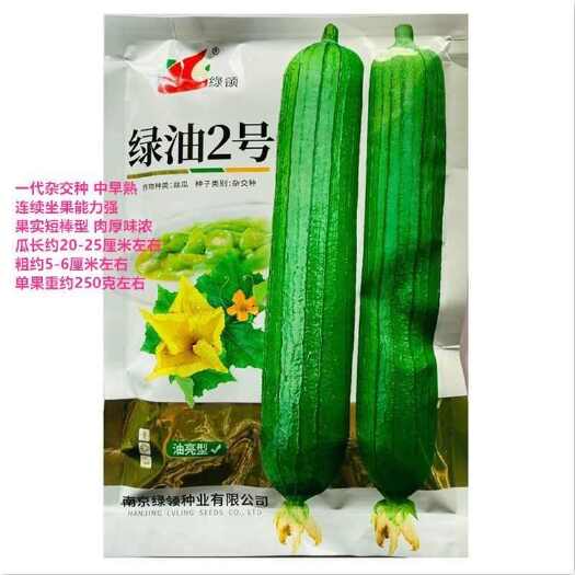 南京绿领丝瓜种子油绿2号 中早熟短棒型肉厚皮绿油亮春播耐热蔬菜种