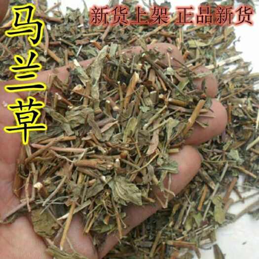 紫云县贵州中药材马兰草马兰头干正品天然药材田边菊 路边菊蓑衣草