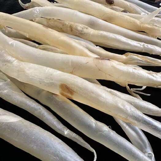 广州鳗鱼胶新加坡鳗鱼胶鳝鱼胶 深海花胶鱼胶干货产地直销