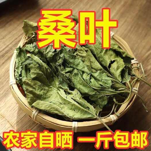 太和县桑叶中药材桑叶干桑叶茶泡水喝 霜打霜后霜桑叶茶散装 桑树叶