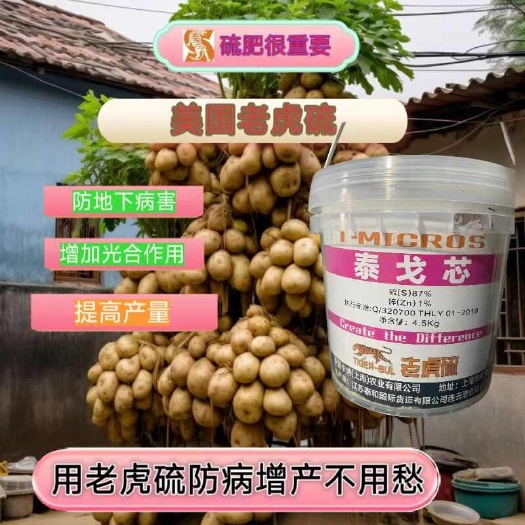 沈阳老虎硫种土豆防疮痂病根腐病提高光合作用口感好耐储存