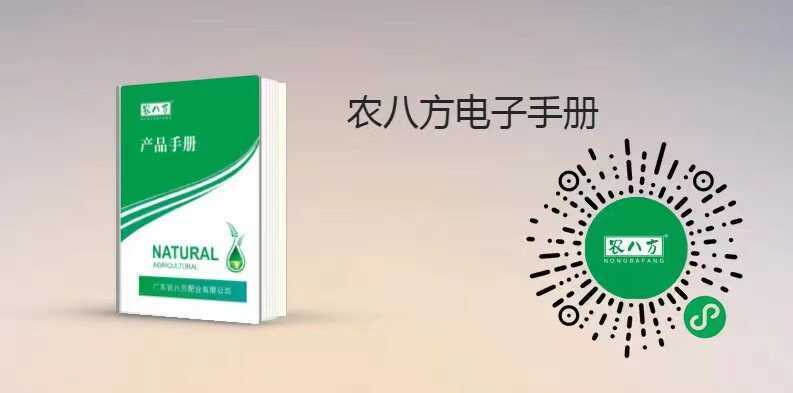 揭西县中量元素水溶肥:钙镁硼锌