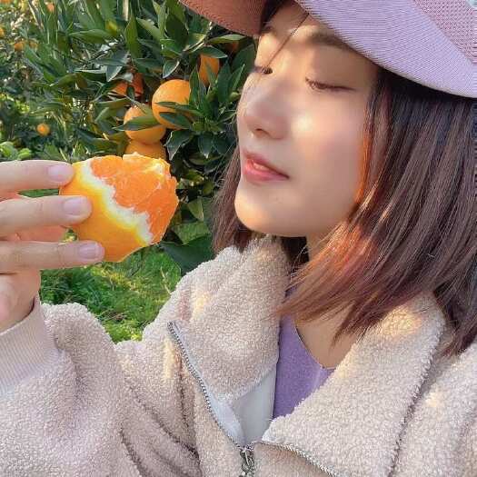 秭归县秭归伦晚脐橙，春橙，帝王橙
