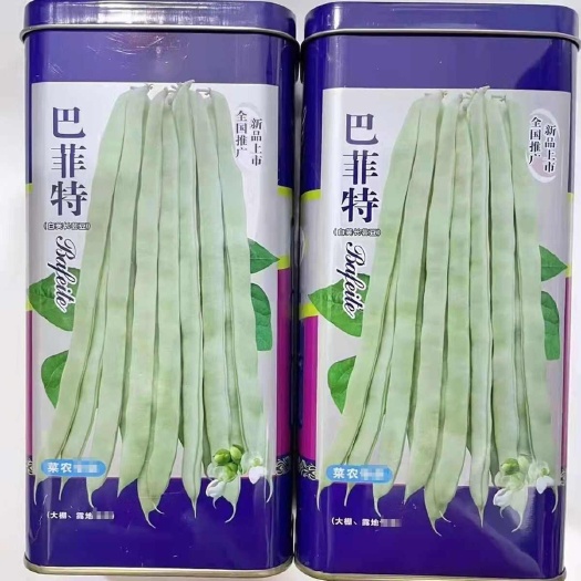 宏雨白架豆种子巴菲特 豆角种籽白荚肉厚长芸豆四季豆蔬菜种孑