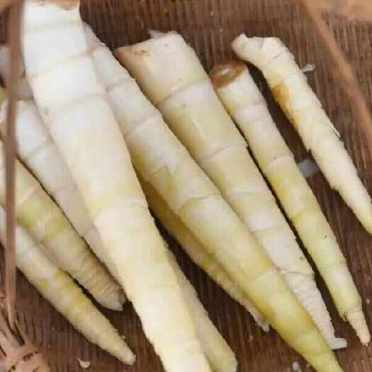 吉安春笋新鲜货