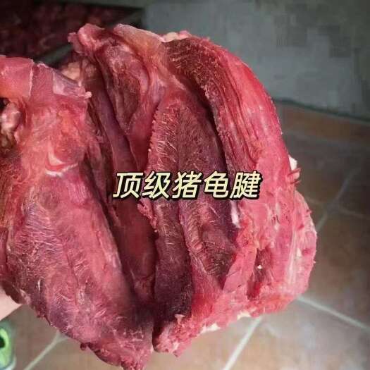 龟腱，猪龟腱，7成熟
