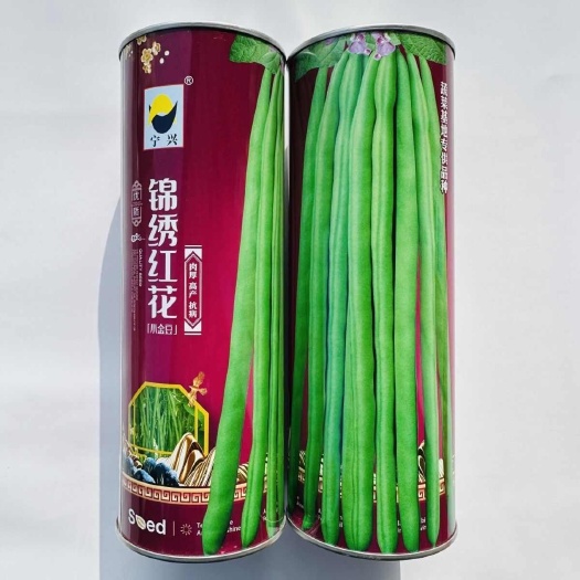 南京超长小金豆种子无筋四季豆种子锦绣红花小金豆种籽蔬菜基地专用种