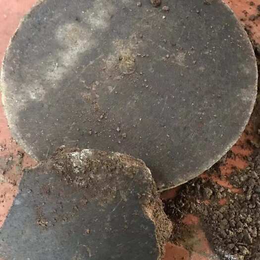 贺州茶麸，茶粕，茶籽麸