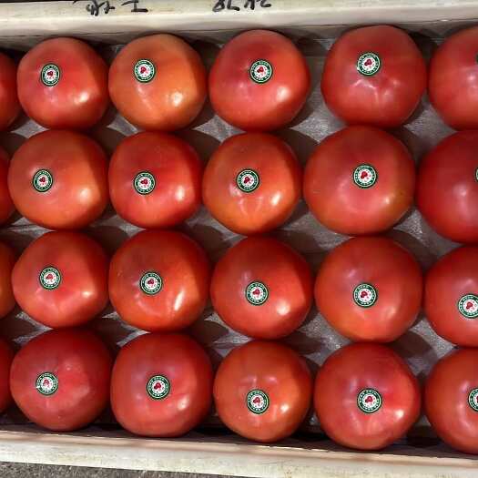 八里湾硬粉西红柿  基地货万亩基地大型连锁超市和电商