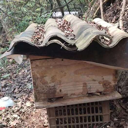 建水县云南建水高原土蜂蜜