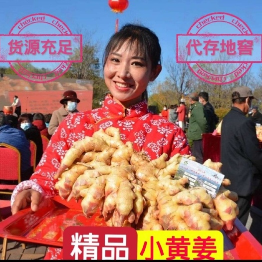 生姜种子（ 可合作种植提供技术支持）（全面发展农业）