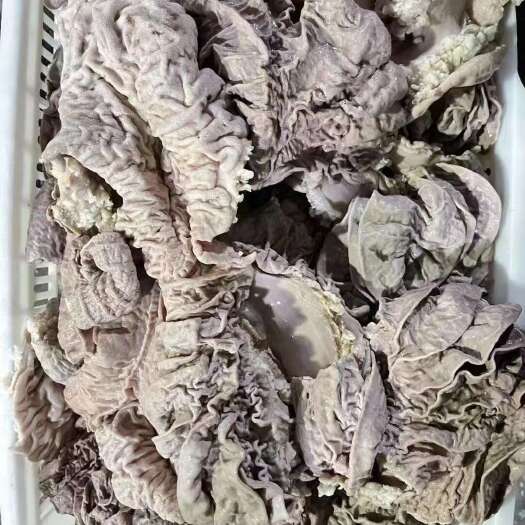 梧州飞水牛肠头，牛伞带，伞肚，牛杂批发
