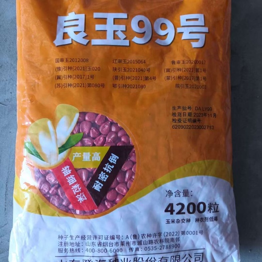 天津登海良玉99