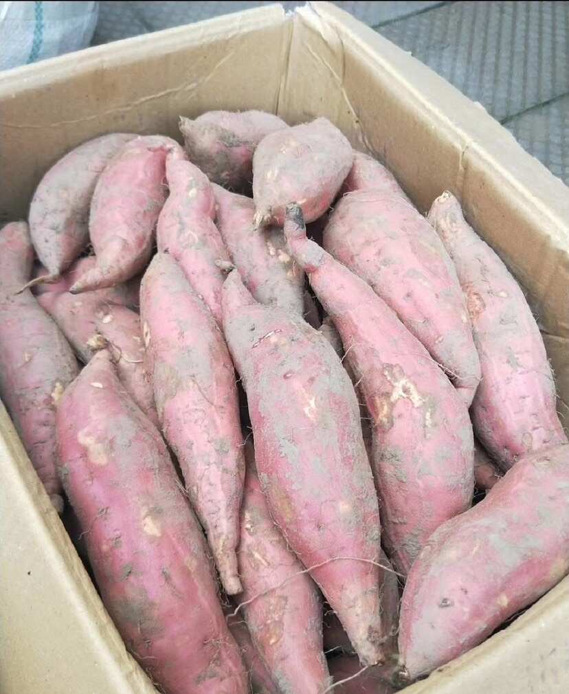 精品烟薯25，西瓜红紫薯，产地直发直销，货源充足，可全国发货