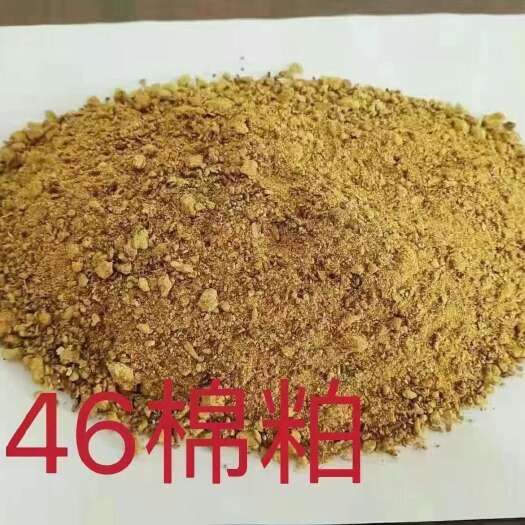 石家庄棉粕