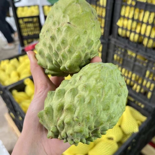 释迦果
