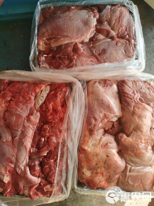 牛肉，国产精修纯干牛肉瘦度高，无冰无油，产地直发