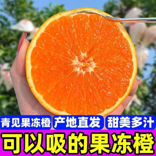 四川青见果冻橙薄皮应季新鲜水果整箱批发代发