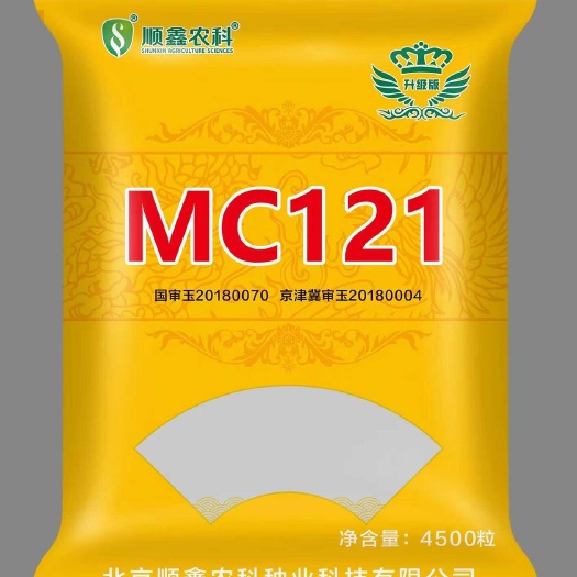 天津密植品种，高产抗病好高抗锈病