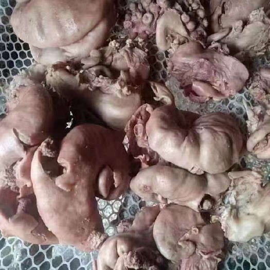 五香全熟羊房子