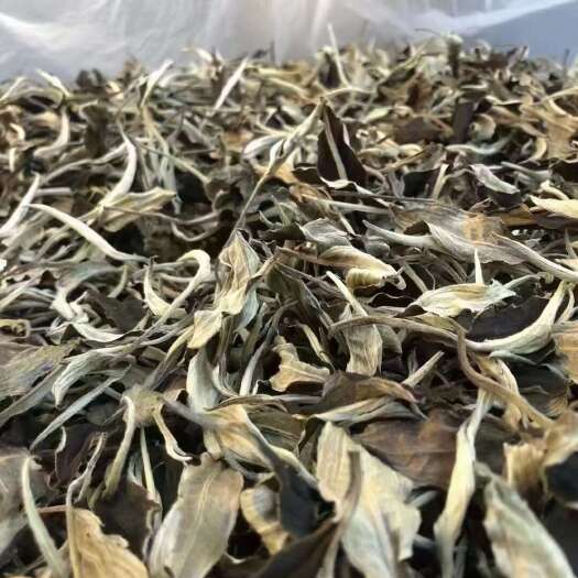  白茶