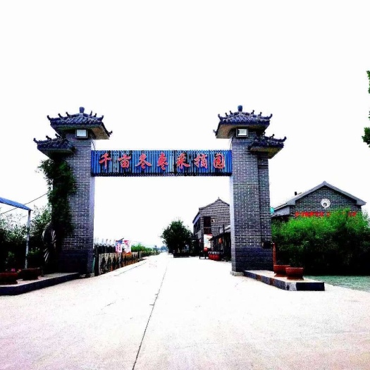滨州冬枣园区转让/转租