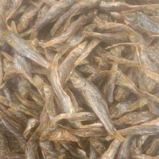 麦穗鱼干，翘嘴鱼干，马口鱼干，鳑鲏鱼干，沙里趴，各种淡水鱼干