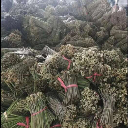 万源市蕨菜大量供应 整车走货