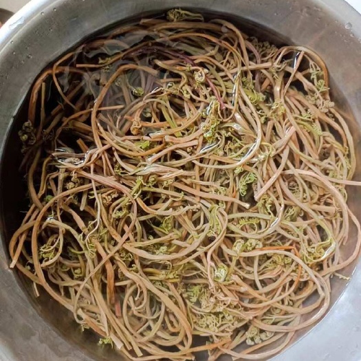 东北蕨菜干