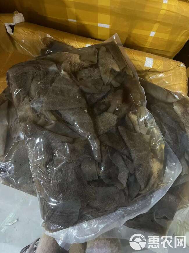 毛肚大叶片 毛肚小叶片，碎毛肚，毛肚边角料，品类齐全！！