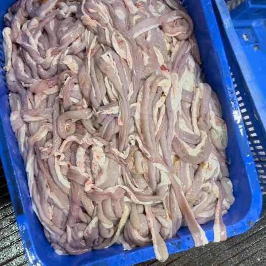 东莞市新鲜猪小肠